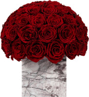 Eternal Red Preserved Flower Vase